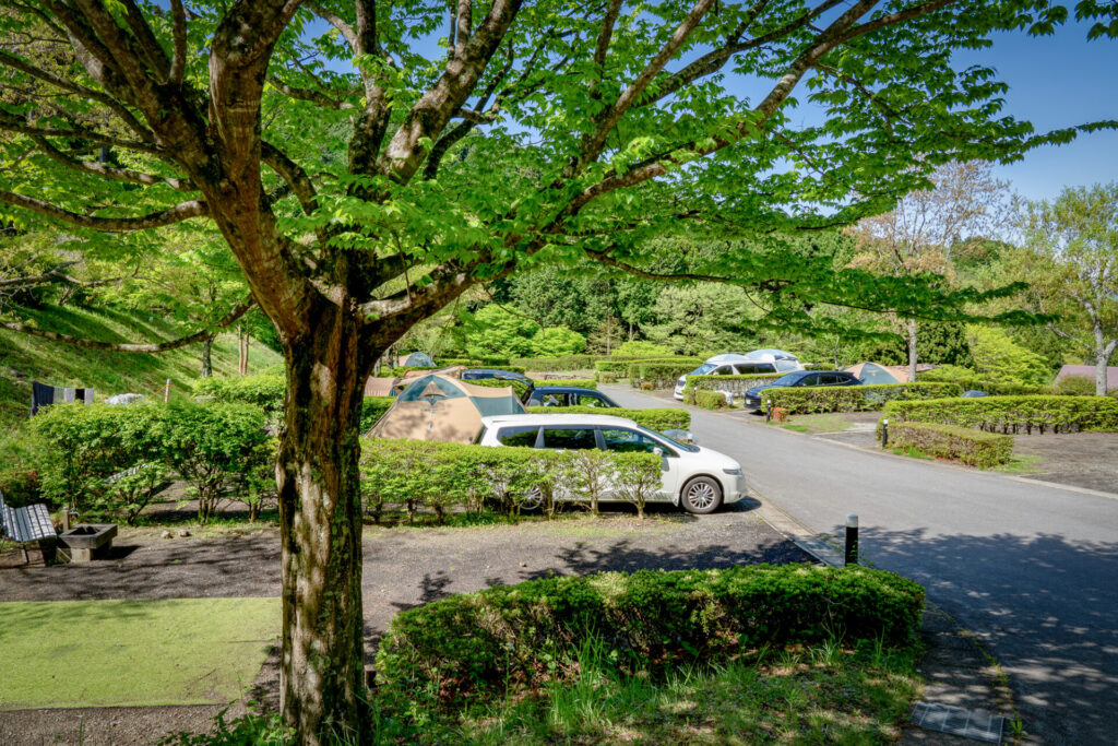 第二キャンプ場イメージ 第2キャンプ場