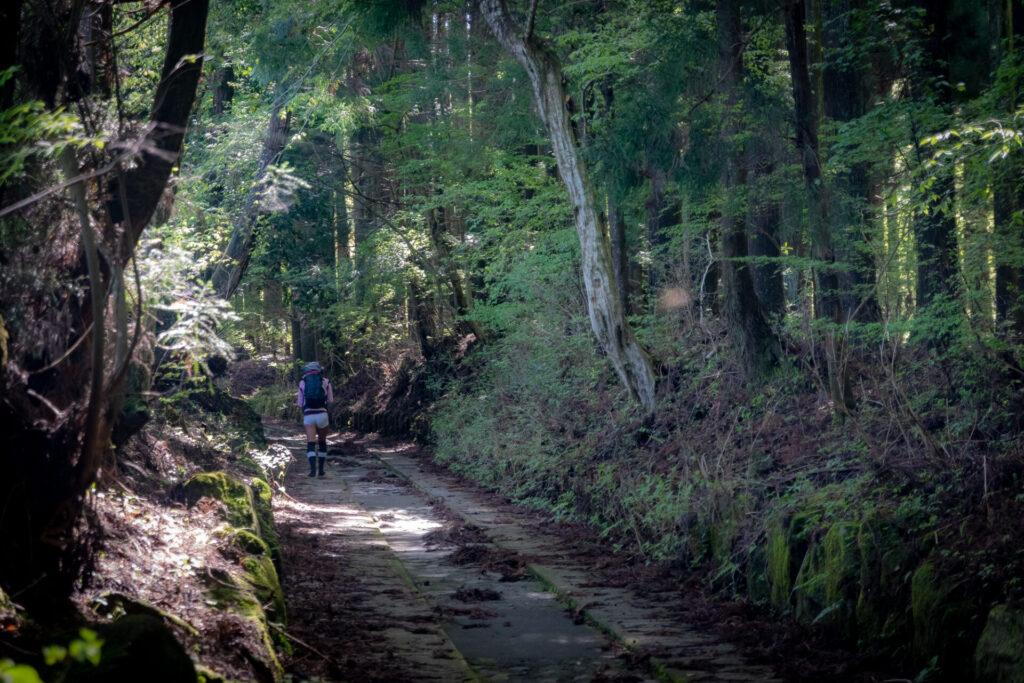 ハイキングコース 第2キャンプ場