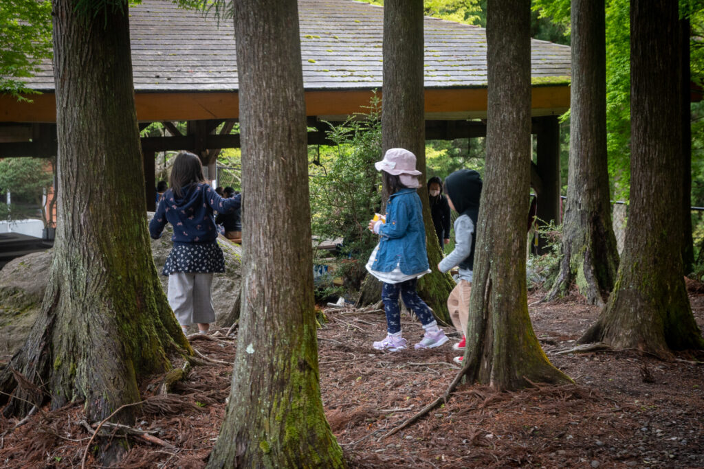 バーベキューサイト バーベキューサイト