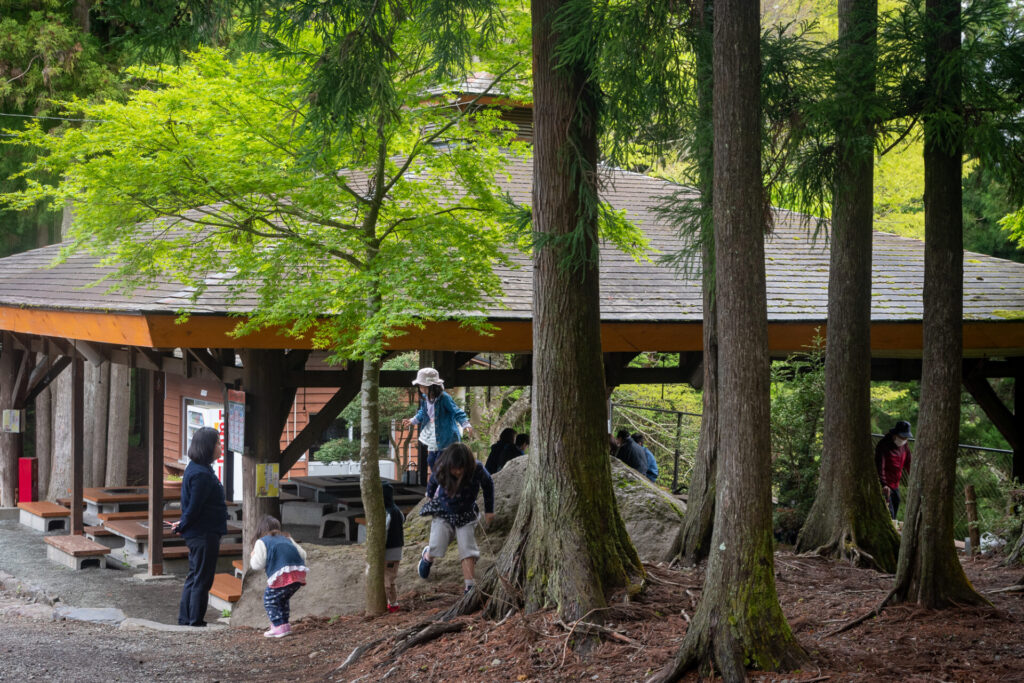 バーベキューサイト バーベキューサイト