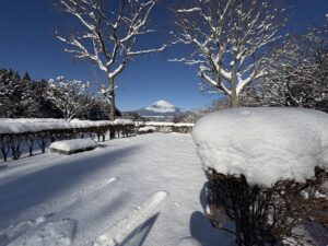 場内積雪について(2/9現在)